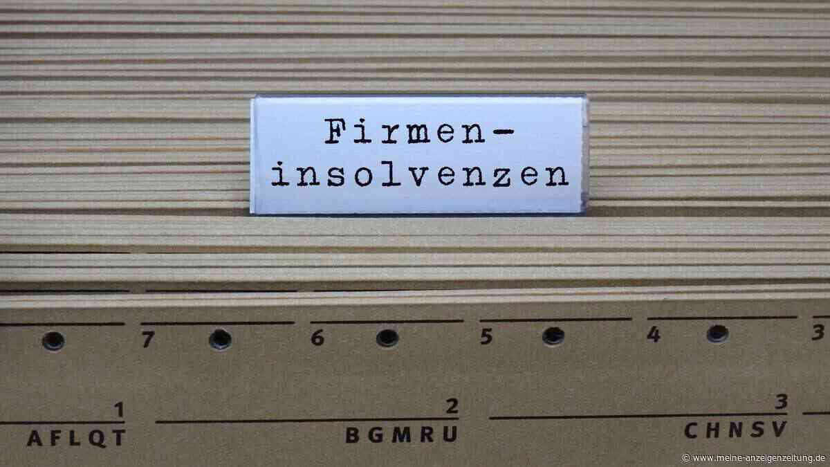 Trotz 80 Millionen Euro Umsatz: Traditionsreicher Karton-Betrieb meldet Insolvenz an