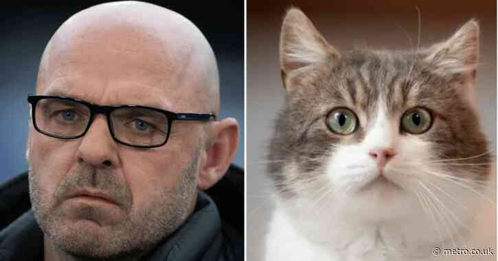 Danny Murphy baffles fans with cat anecdote during World Cup match