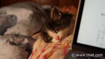 Can't Find Hibernate in Windows? Here's How to Locate It