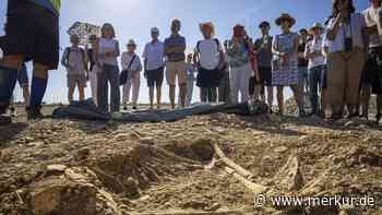 3.000 Jahre alte Skelette in Poinger Neubaugebiet freigelegt