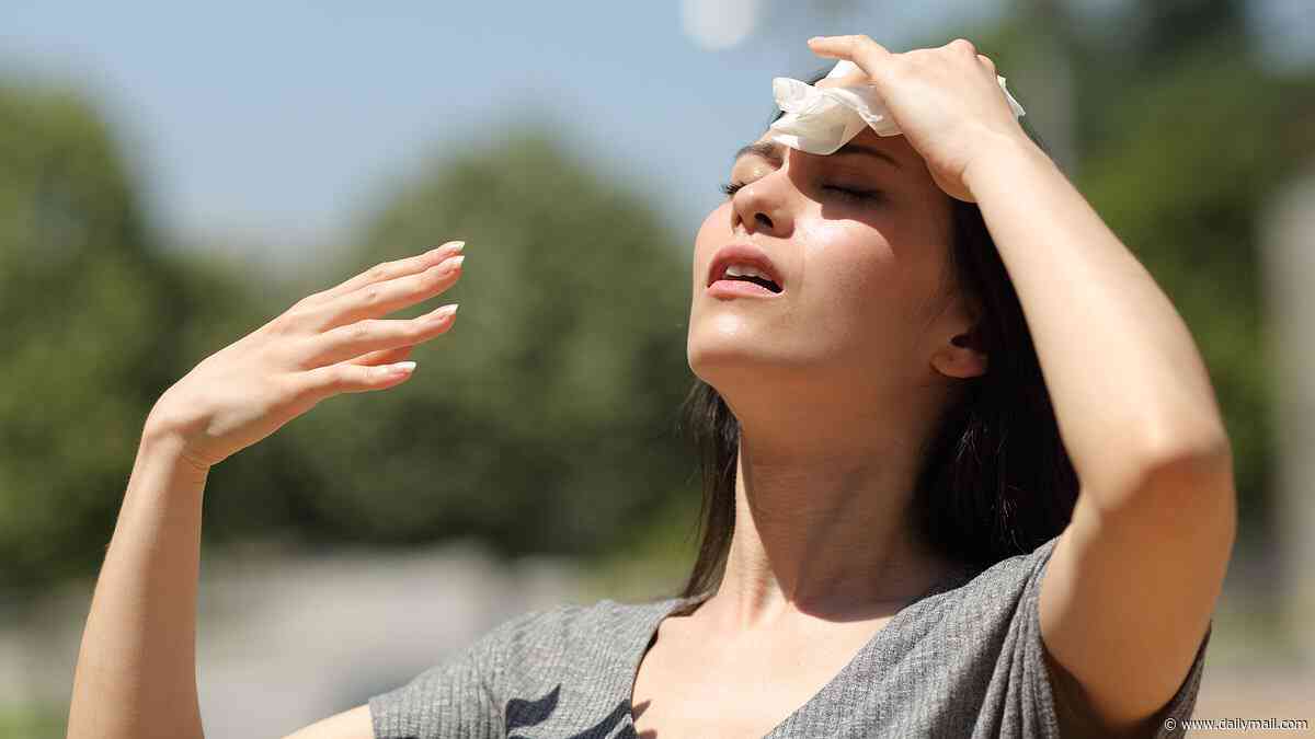 Several US states enter 'zone of sweaty despair' with humidity worse than the Amazon rainforest