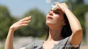 Several US states enter 'zone of sweaty despair' with humidity worse than the Amazon rainforest