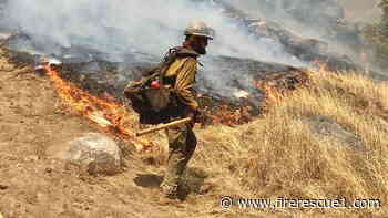 Federal wildland firefighters get expanded access to N95 masks