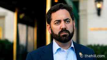 GOP's Lawler: 'Birth tourism' not an issue for 'executive fiat or judicial activism'