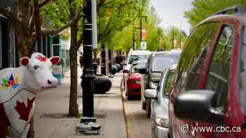 Sylvan Lake drives back parking fees amid business, visitor backlash