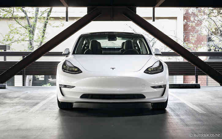 Used import registrations lift 12.9% in June as Tesla surges