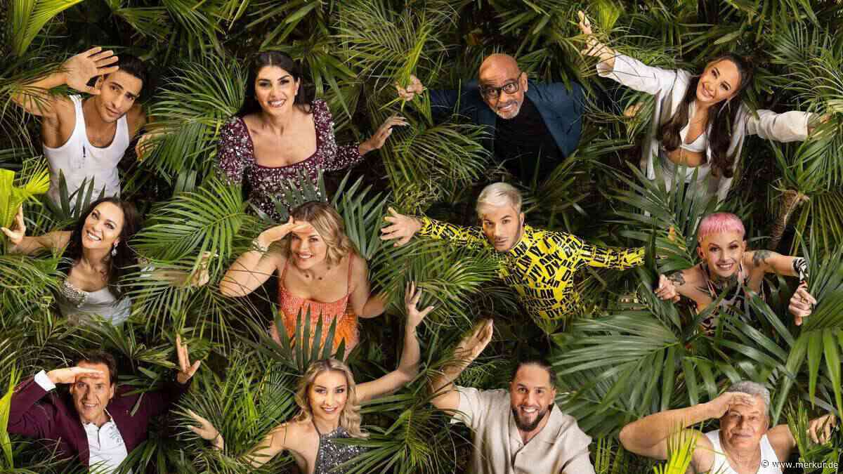 „Finanzielle Fehler gemacht“: Insolvenzverfahren gegen Ex-Dschungelcamp-Star eingeleitet