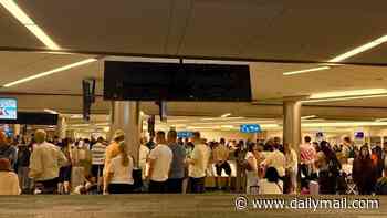 Orlando airport staff force 800 travelers from UK to wait FIVE HOURS for luggage - then warned them they'd be 'arrested' if they left without their bags