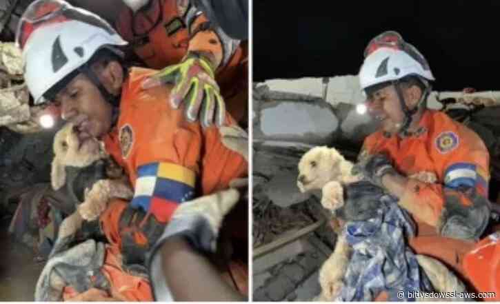 Equipo salvadoreño rescató a Giselle, perrita que estuvo 5 días entre los escombros en Caraballeda