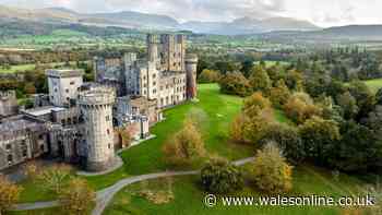 You could live in a Welsh castle and get paid almost £25,000 to do it