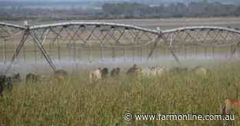 Balanda Park a highly developed, integrated agricultural powerhouse | Video