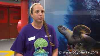 A+ Teacher spends summer teaching campers at The Florida Aquarium