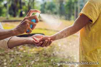 Experts issue warning to UK holidaymakers over mosquito repellents – with one only working for three minutes