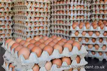 Trump administration sues egg producers over alleged price fixing