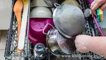 Five energy-wasting habits that could be adding to your household energy bills