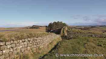 English Heritage takes over management of Roman Fort to 'simplify' visitor experience