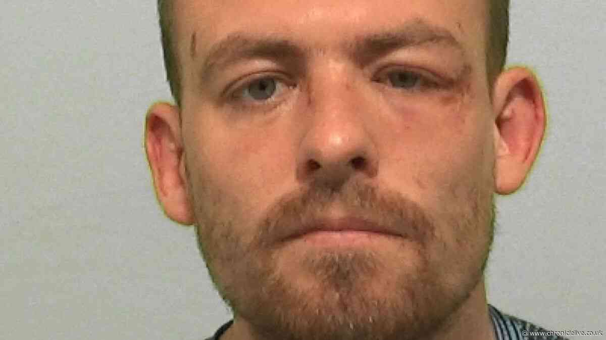 North East thug headbutted police officer before crashing into lamp post