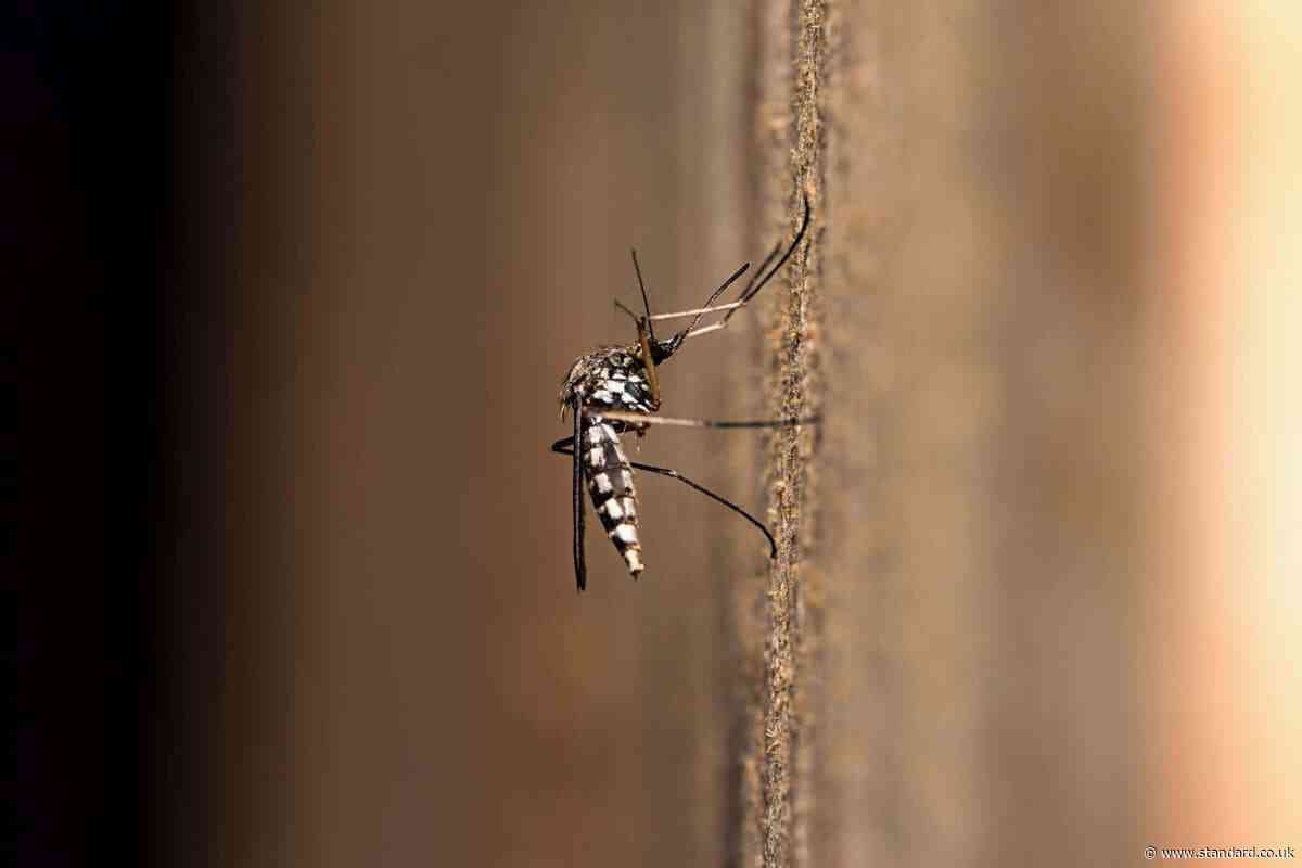 Trendy mosquito repellents protected volunteers for under three minutes – Which?