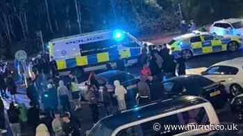 Police to get new powers to destroy seized cars and bikes faster