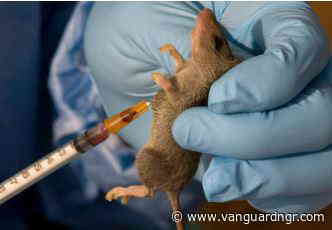TETFund challenges Nigerian scientists to develop local Lassa fever vaccine