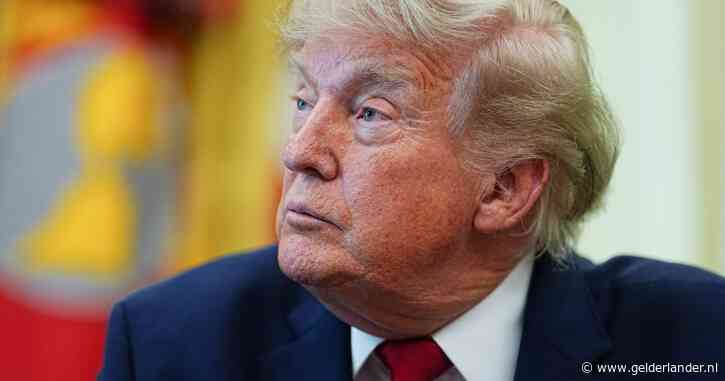 Hoe de uitspraak over geboorterecht een nederlaag is voor Trump, maar hem ook een wapen geeft