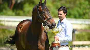 ‘Trainers are now on notice’: Melbourne Cup winners Anthony and Sam Freedman learn fate at tribunal