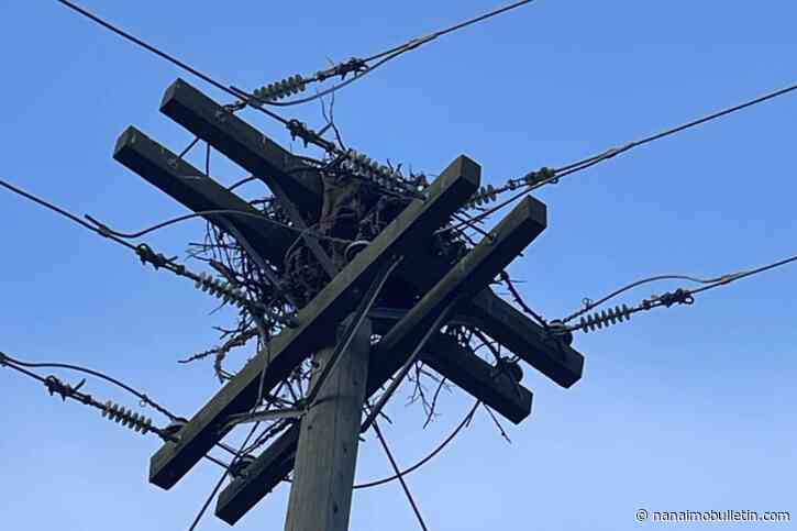 B.C. Hydro says outage like one in Nanaimo Sunday not rare