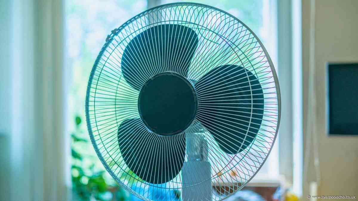 Fans will feel cooler and work better if you use 1 common kitchen item on them