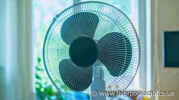 Fans will feel cooler and work better if you use 1 common kitchen item on them
