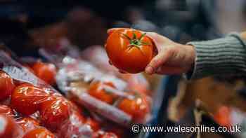 Welsh households urged to store tomatoes in 1 spot so they stay fresh for longer