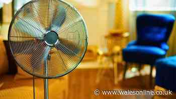 Fans will be more efficient and blow colder air if you use 1 everyday kitchen item on them