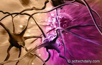 mRNA Vaccine Shrinks Deadly Childhood Cancer Tumors by 70%