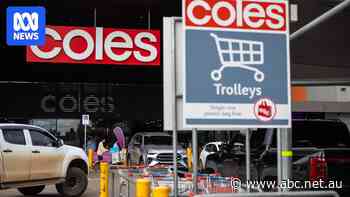 ACCC knocks back Coles supermarket as watchdog flexes new powers