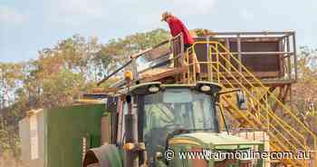 Cloudy with a chance of higher lentil prices: India's dry start tips opportunity