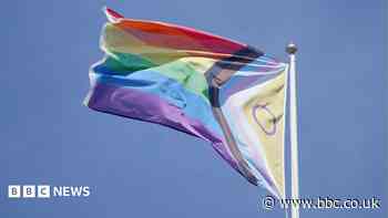 Council removes Pride flag after Reform challenge