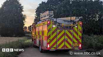 Farm owner 'saddened' after suspected arson attacks