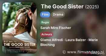 The Good Sister (2025, IMDb: 6.6)