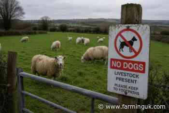 Dog walking app adds sheep alerts to help prevent attacks