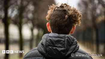 Bid to raise minimum age of criminal responsibility formally fails