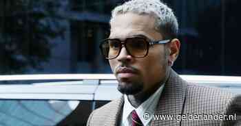 Chris Brown moet 13 miljoen betalen nadat zijn hond de huishoudster aanviel