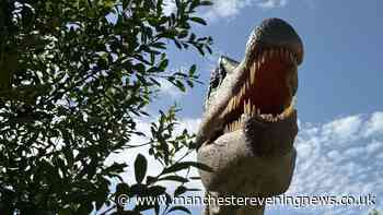 Bents welcomes life-size dinosaurs for new summer trail