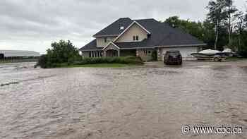 'Back with vengeance': Western Manitoba faces heavy flooding again