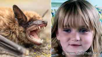 Young girl bitten by rabid bat while climbing tree outside her family home