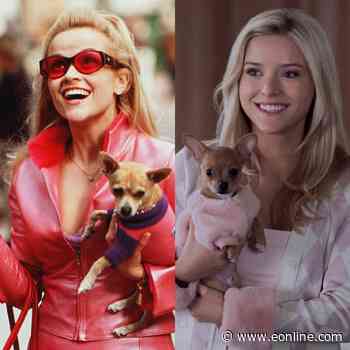 How Elle Woods' Origin Story in Elle Differs From Legally Blonde