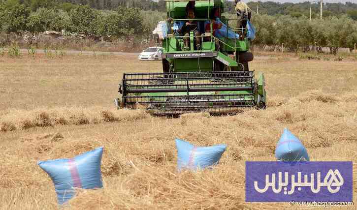 مؤشرات الاقتصاد المغربي تكشف زخما استهلاكيا وتباطؤا مقلقا للاستثمار