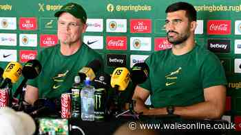 Springboks blocked from picking England star in shock revelation and Halfpenny details emerge