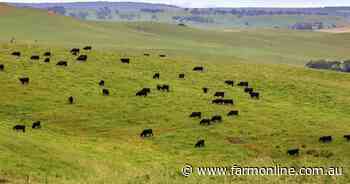 Premier Casterton rural property sells for $6.4 million in a strong result