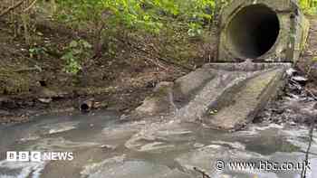 Waste blights wildlife site stream, say residents