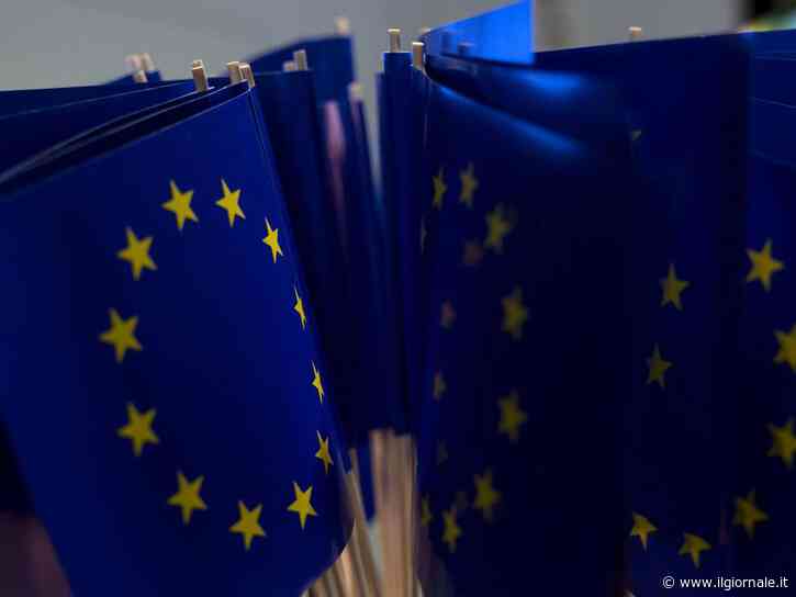 Indipendenza energetica e infrastrutture: cosa chiedono gli italiani all'Ue