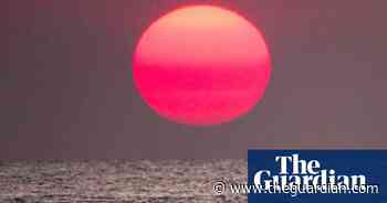 Ocean surface temperatures hit a record high for June